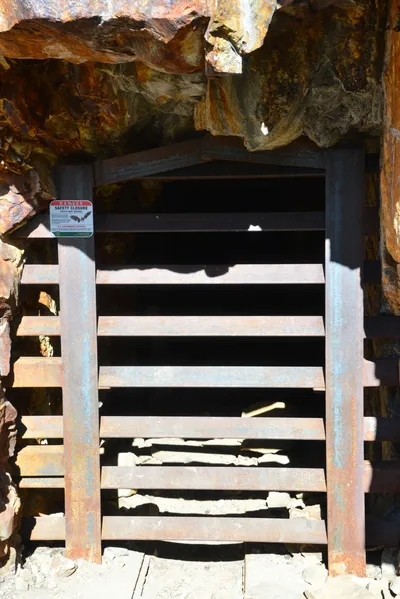 DSC_7839 (Large).JPG